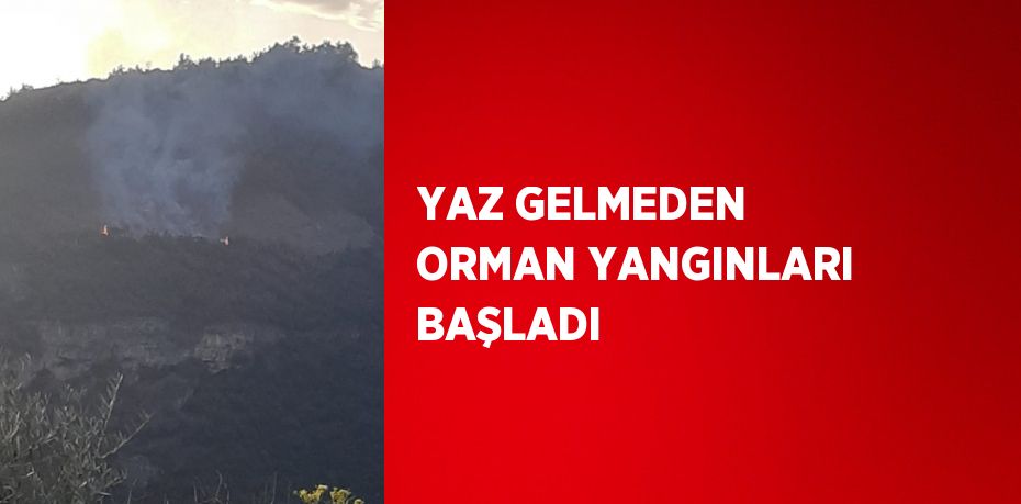 YAZ GELMEDEN ORMAN YANGINLARI BAŞLADI