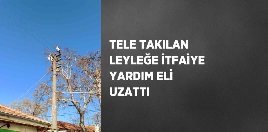 TELE TAKILAN LEYLEĞE İTFAİYE YARDIM ELİ UZATTI