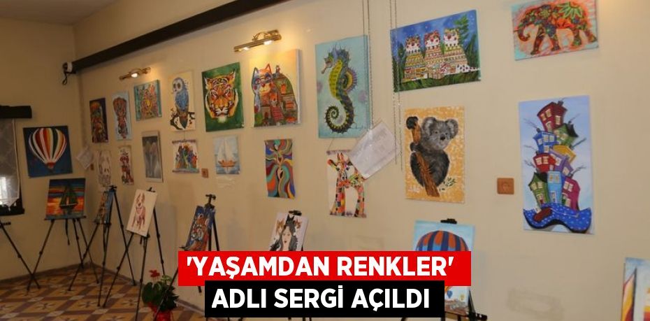 “YAŞAMDAN RENKLER”  ADLI SERGİ AÇILDI