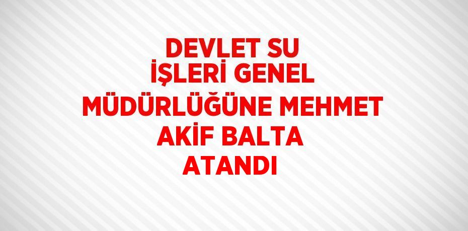 DEVLET SU İŞLERİ GENEL MÜDÜRLÜĞÜNE MEHMET AKİF BALTA ATANDI