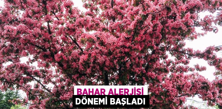 Bahar alerjisi dönemi başladı