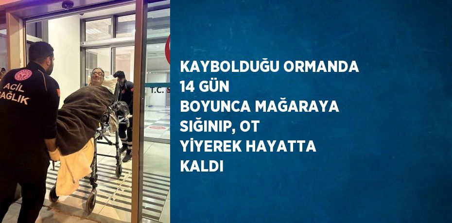 KAYBOLDUĞU ORMANDA 14 GÜN BOYUNCA MAĞARAYA SIĞINIP, OT YİYEREK HAYATTA KALDI