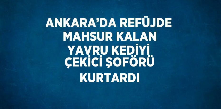 ANKARA’DA REFÜJDE MAHSUR KALAN YAVRU KEDİYİ ÇEKİCİ ŞOFÖRÜ KURTARDI