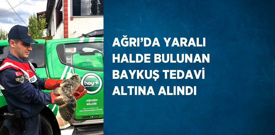 AĞRI’DA YARALI HALDE BULUNAN BAYKUŞ TEDAVİ ALTINA ALINDI