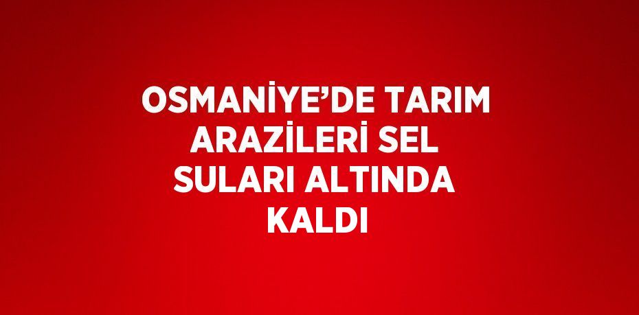 OSMANİYE’DE TARIM ARAZİLERİ SEL SULARI ALTINDA KALDI