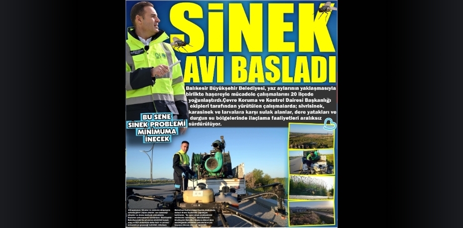 SİNEK AVI BAŞLADI