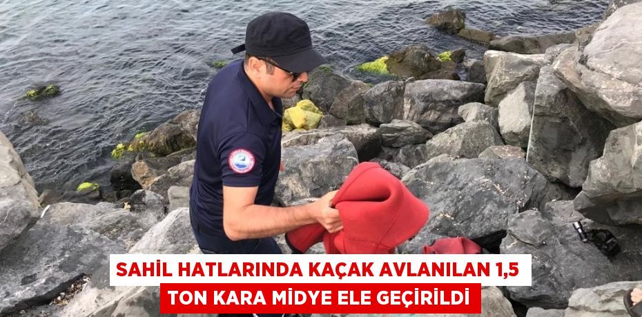 Sahil hatlarında kaçak avlanılan 1,5 ton kara midye ele geçirildi