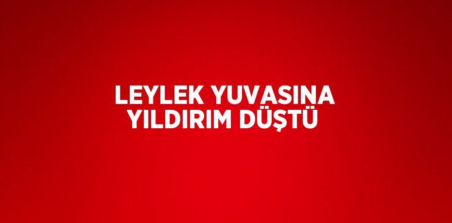 LEYLEK YUVASINA YILDIRIM DÜŞTÜ