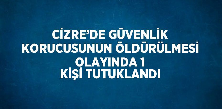 CİZRE’DE GÜVENLİK KORUCUSUNUN ÖLDÜRÜLMESİ OLAYINDA 1 KİŞİ TUTUKLANDI