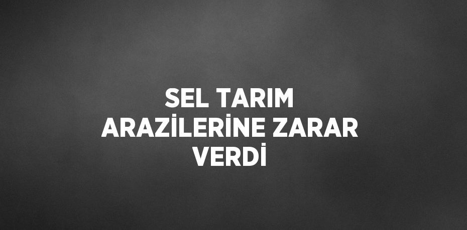 SEL TARIM ARAZİLERİNE ZARAR VERDİ