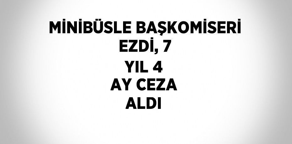 MİNİBÜSLE BAŞKOMİSERİ EZDİ, 7 YIL 4 AY CEZA ALDI