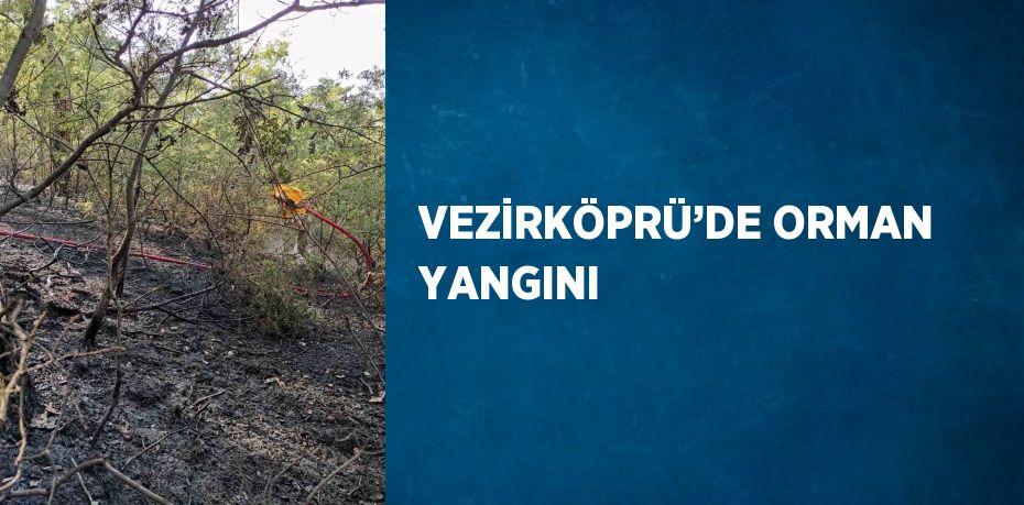 VEZİRKÖPRÜ’DE ORMAN YANGINI