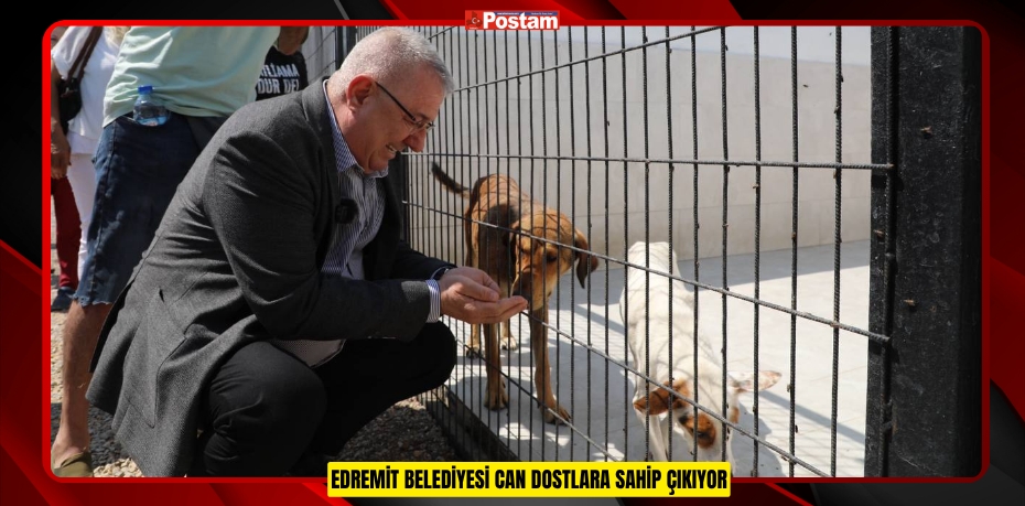 EDREMİT BELEDİYESİ CAN DOSTLARA SAHİP ÇIKIYOR