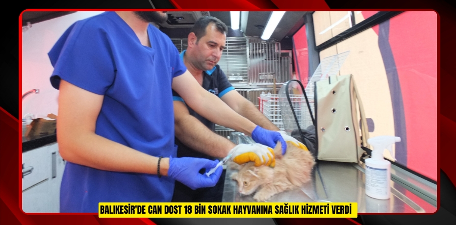 Balıkesir'de Can Dost 18 bin sokak hayvanına sağlık hizmeti verdi  