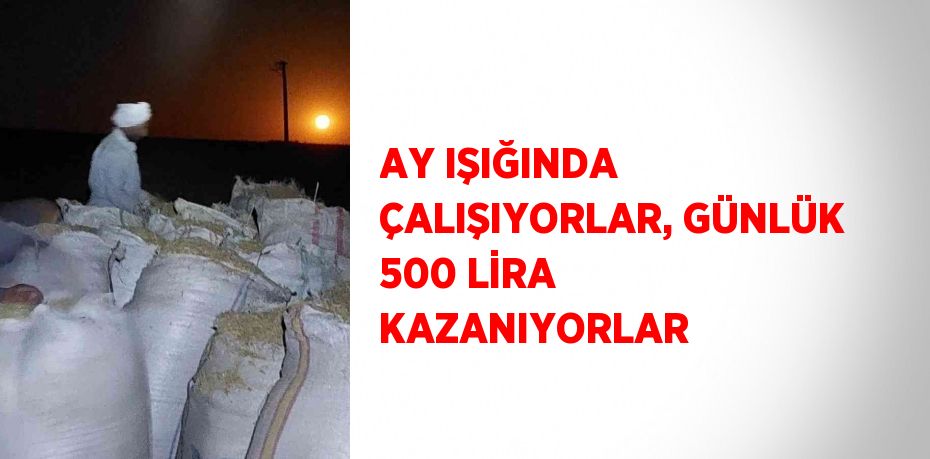 AY IŞIĞINDA ÇALIŞIYORLAR, GÜNLÜK 500 LİRA KAZANIYORLAR