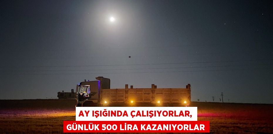 Ay ışığında çalışıyorlar, günlük 500 lira kazanıyorlar