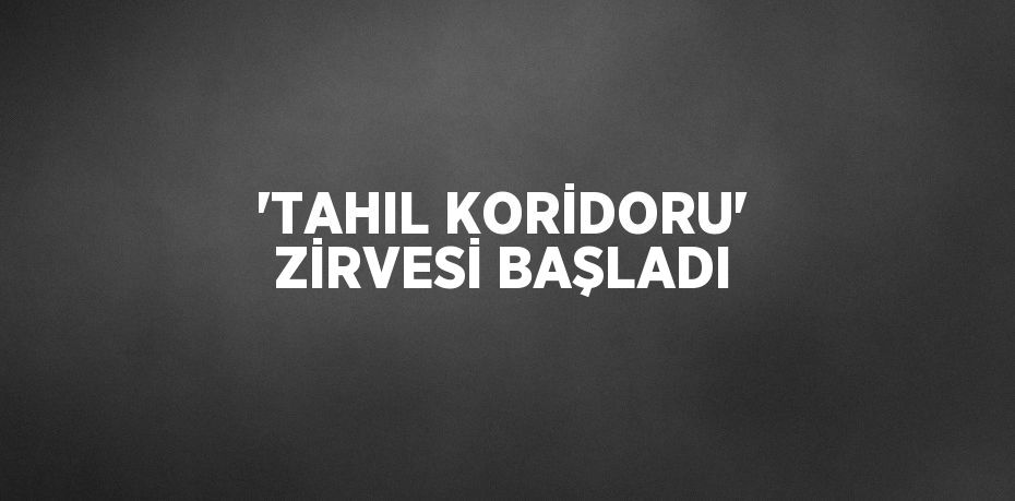 'TAHIL KORİDORU' ZİRVESİ BAŞLADI