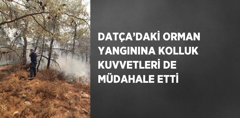 DATÇA’DAKİ ORMAN YANGININA KOLLUK KUVVETLERİ DE MÜDAHALE ETTİ