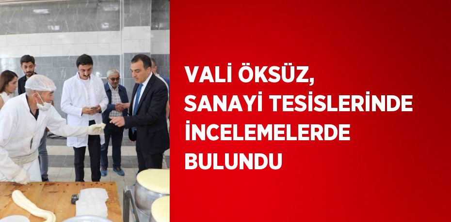 VALİ ÖKSÜZ, SANAYİ TESİSLERİNDE İNCELEMELERDE BULUNDU