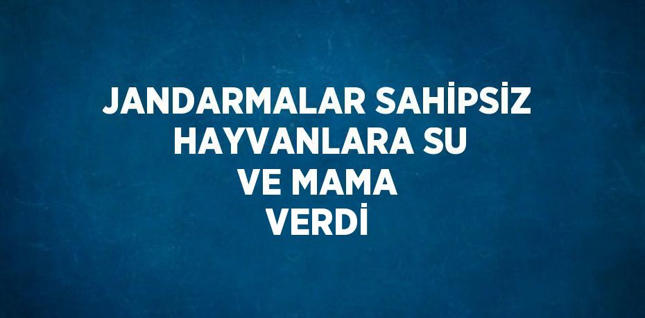 JANDARMALAR SAHİPSİZ HAYVANLARA SU VE MAMA VERDİ