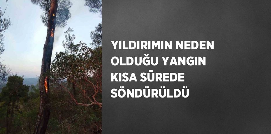 YILDIRIMIN NEDEN OLDUĞU YANGIN KISA SÜREDE SÖNDÜRÜLDÜ