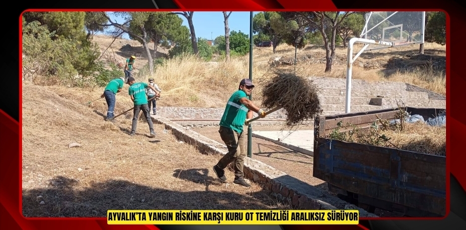 AYVALIK’TA YANGIN RİSKİNE KARŞI KURU OT TEMİZLİĞİ ARALIKSIZ SÜRÜYOR