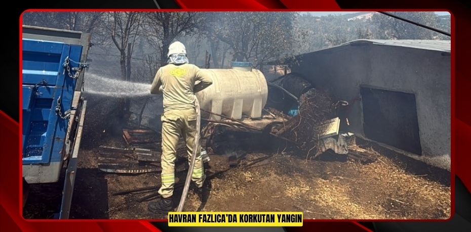 Havran Fazlıca’da korkutan yangın  