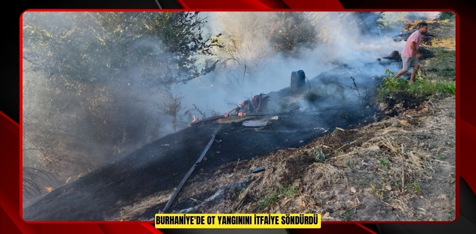 Burhaniye'de ot yangınını itfaiye söndürdü  