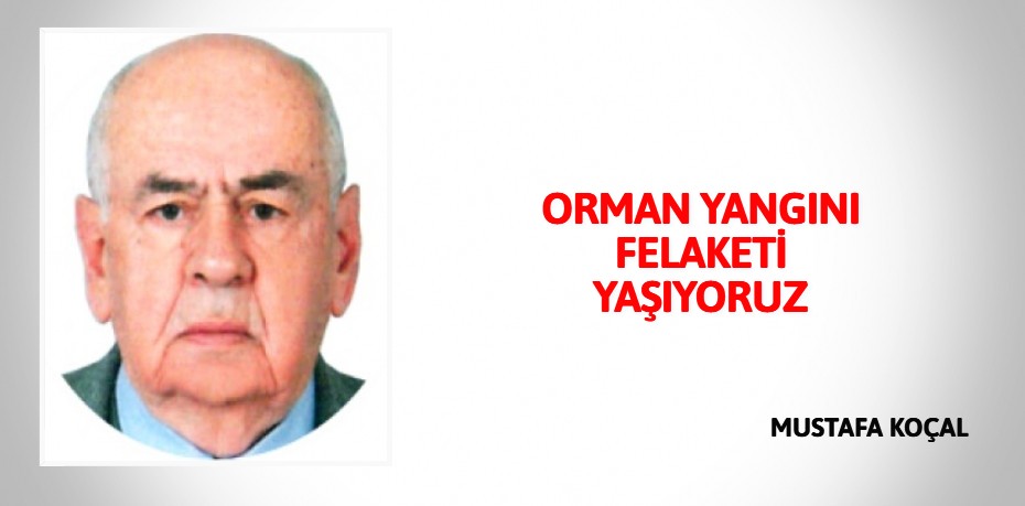 ORMAN YANGINI FELAKETİ YAŞIYORUZ