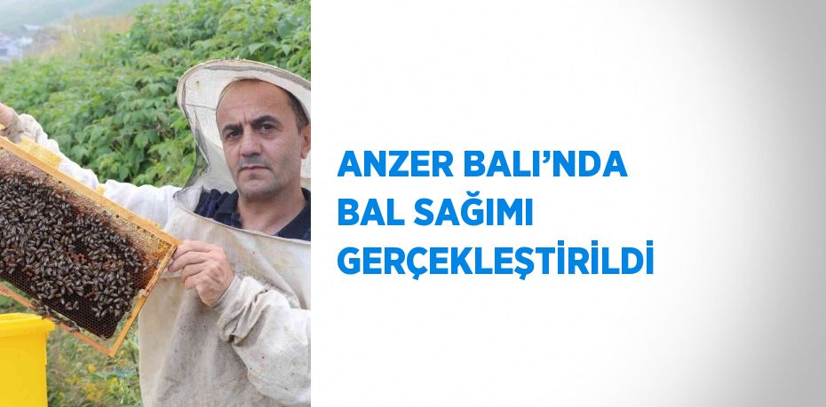 ANZER BALI’NDA BAL SAĞIMI GERÇEKLEŞTİRİLDİ