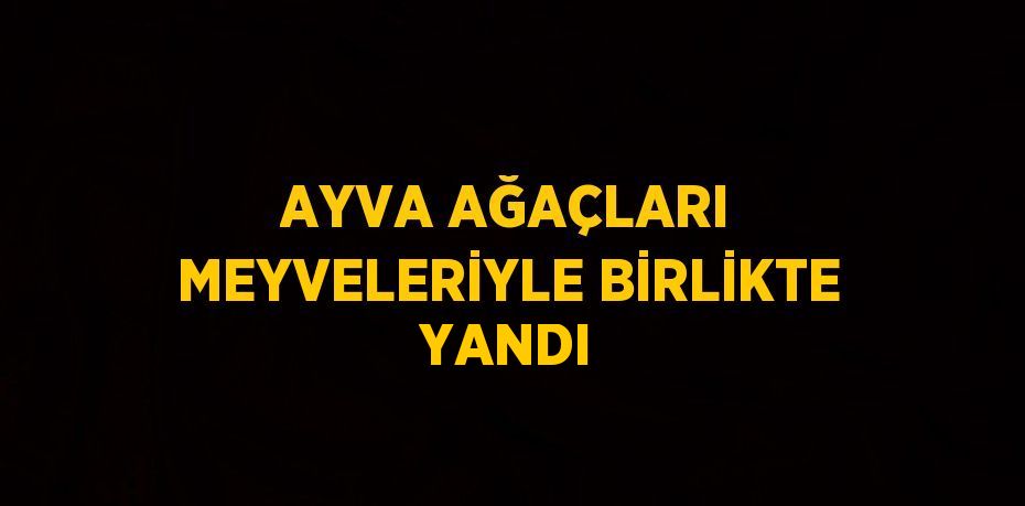 AYVA AĞAÇLARI MEYVELERİYLE BİRLİKTE YANDI