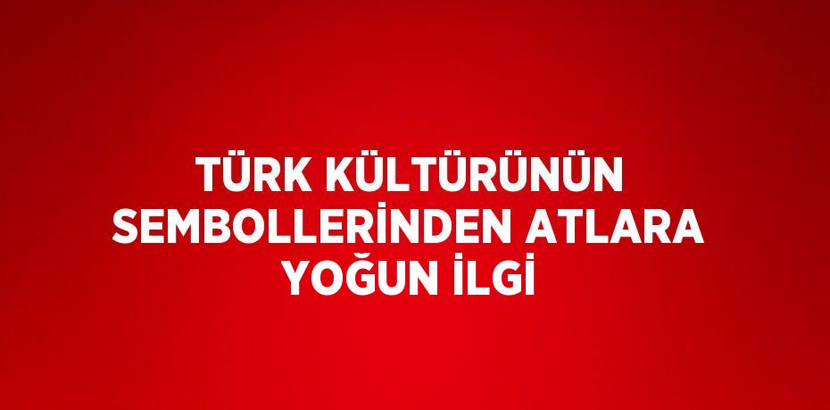 TÜRK KÜLTÜRÜNÜN SEMBOLLERİNDEN ATLARA YOĞUN İLGİ