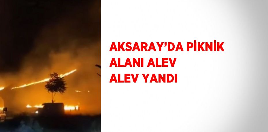 AKSARAY’DA PİKNİK ALANI ALEV ALEV YANDI