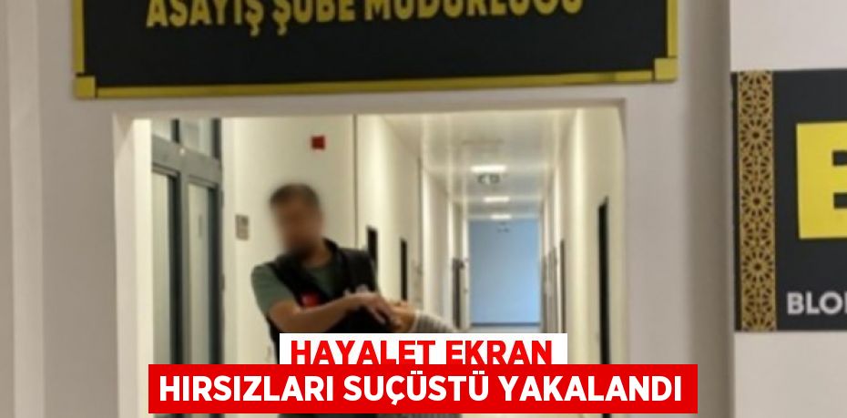 HAYALET EKRAN HIRSIZLARI SUÇÜSTÜ YAKALANDI