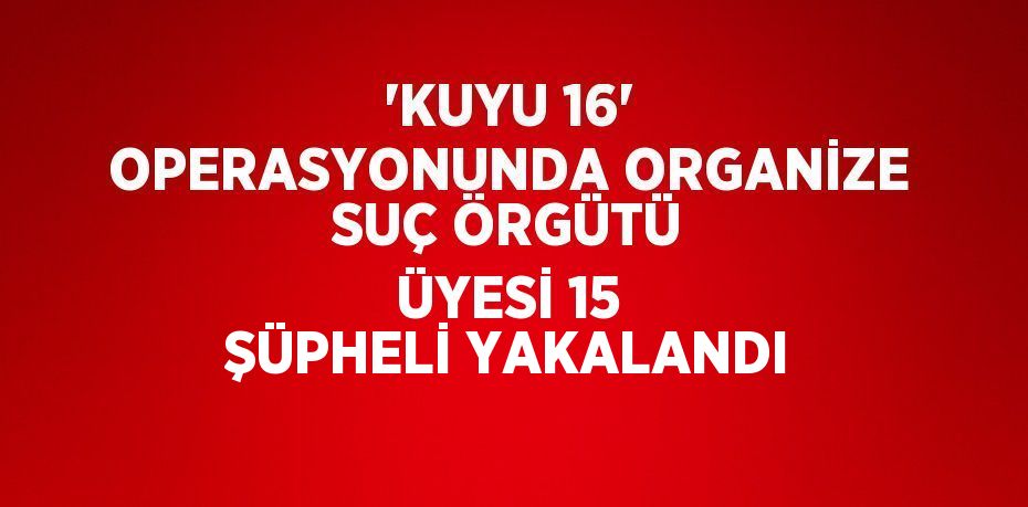 'KUYU 16' OPERASYONUNDA ORGANİZE SUÇ ÖRGÜTÜ ÜYESİ 15 ŞÜPHELİ YAKALANDI