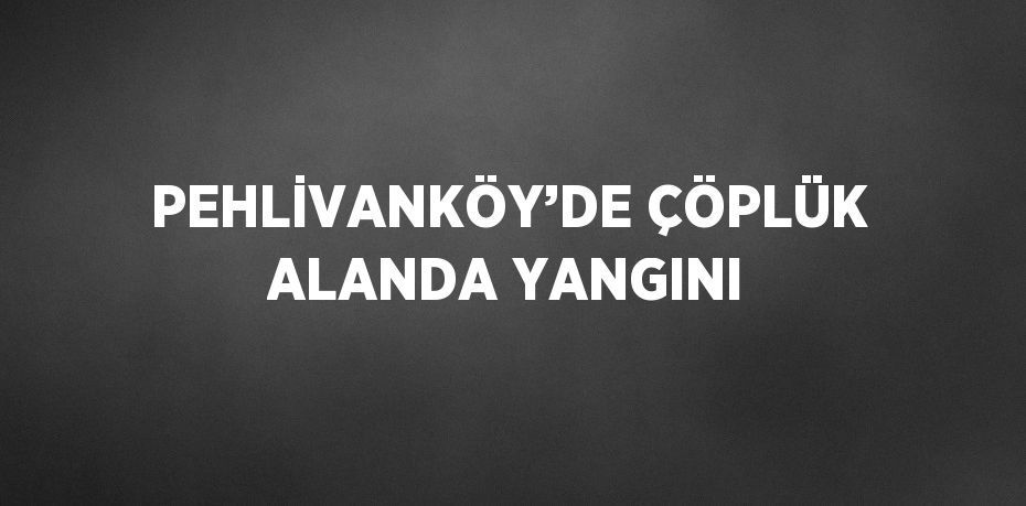 PEHLİVANKÖY’DE ÇÖPLÜK ALANDA YANGINI