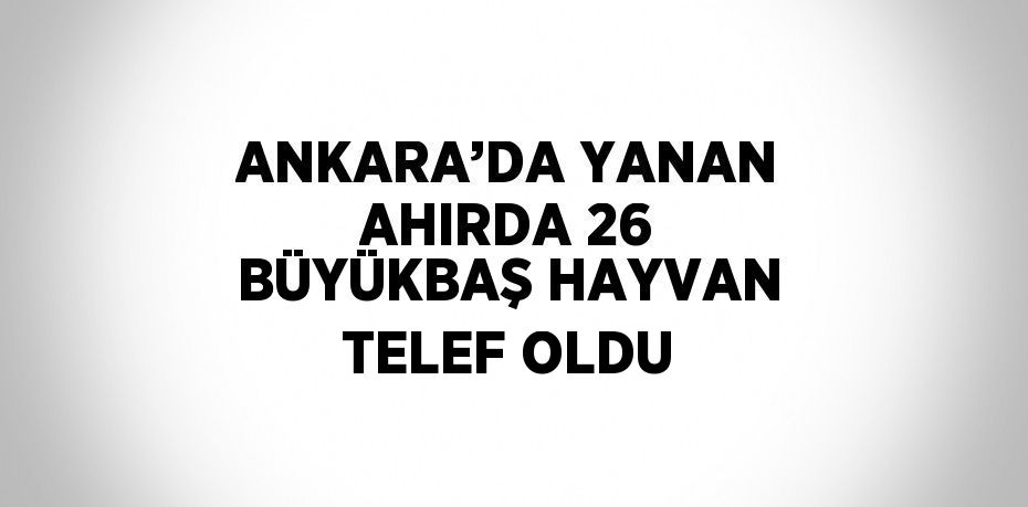 ANKARA’DA YANAN AHIRDA 26 BÜYÜKBAŞ HAYVAN TELEF OLDU