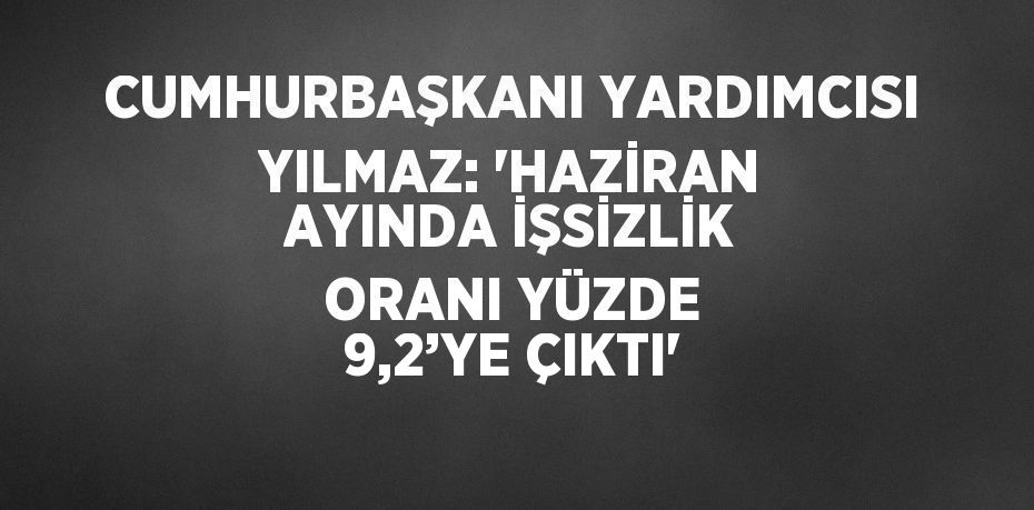 CUMHURBAŞKANI YARDIMCISI YILMAZ: 'HAZİRAN AYINDA İŞSİZLİK ORANI YÜZDE 9,2’YE ÇIKTI'