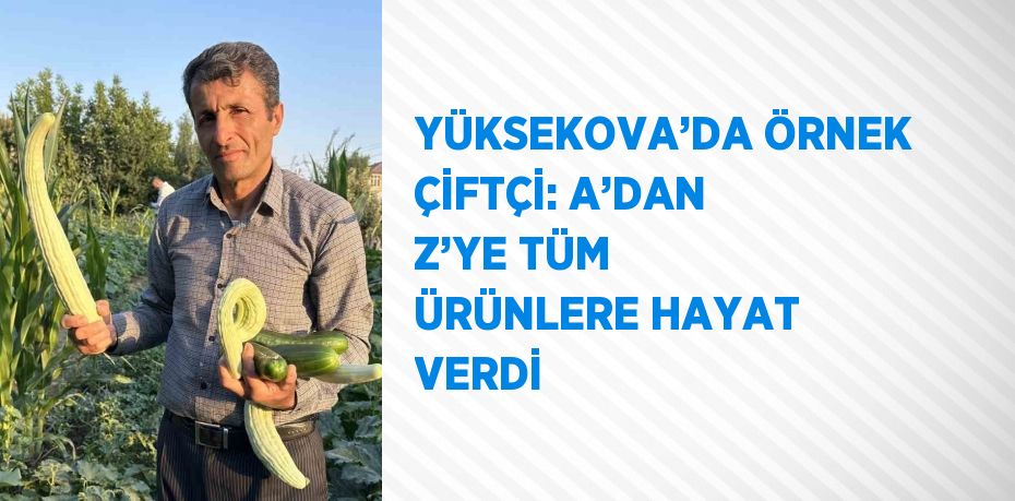 YÜKSEKOVA’DA ÖRNEK ÇİFTÇİ: A’DAN Z’YE TÜM ÜRÜNLERE HAYAT VERDİ