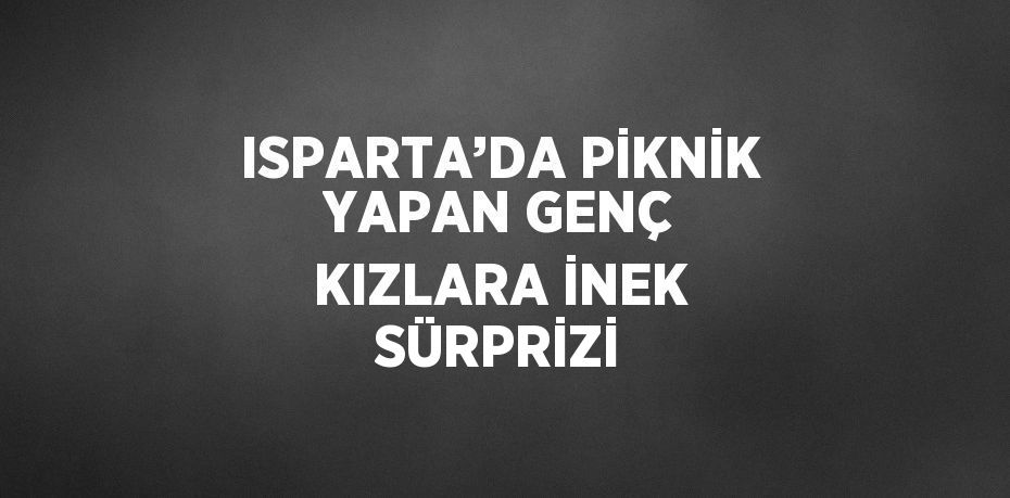 ISPARTA’DA PİKNİK YAPAN GENÇ KIZLARA İNEK SÜRPRİZİ