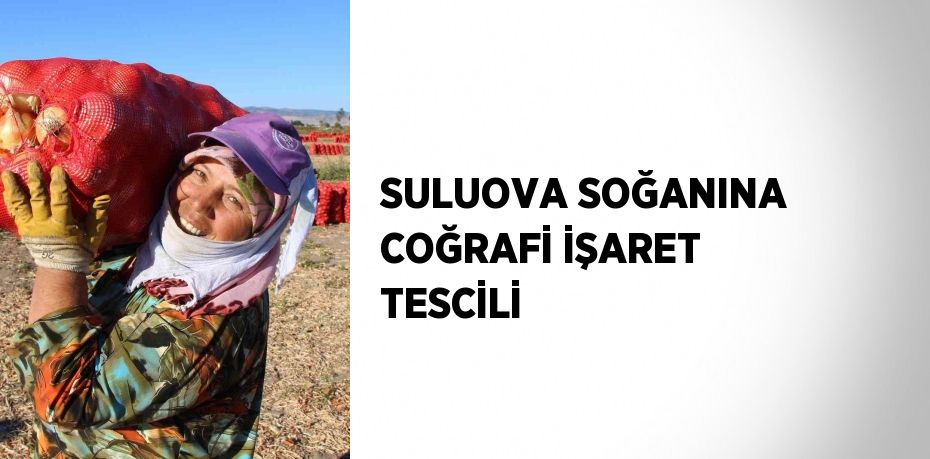 SULUOVA SOĞANINA COĞRAFİ İŞARET TESCİLİ