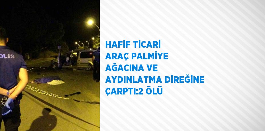 HAFİF TİCARİ ARAÇ PALMİYE AĞACINA VE AYDINLATMA DİREĞİNE ÇARPTI:2 ÖLÜ