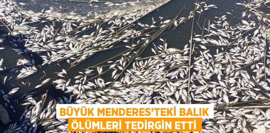 BÜYÜK MENDERES’TEKİ BALIK ÖLÜMLERİ TEDİRGİN ETTİ