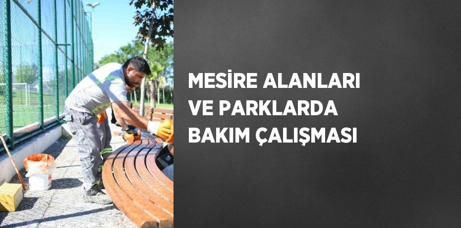 MESİRE ALANLARI VE PARKLARDA BAKIM ÇALIŞMASI