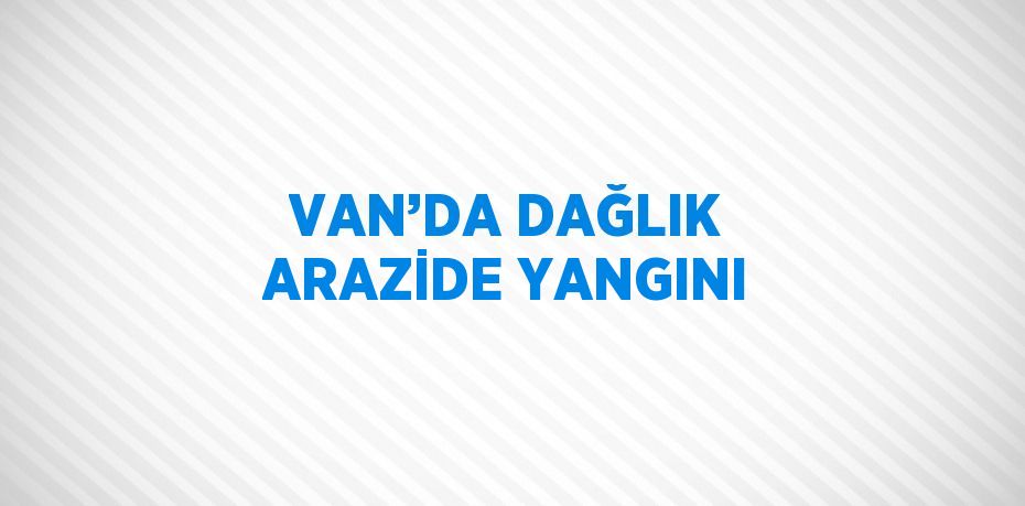 VAN’DA DAĞLIK ARAZİDE YANGINI