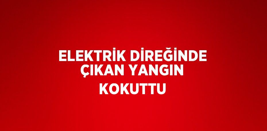 ELEKTRİK DİREĞİNDE ÇIKAN YANGIN KOKUTTU