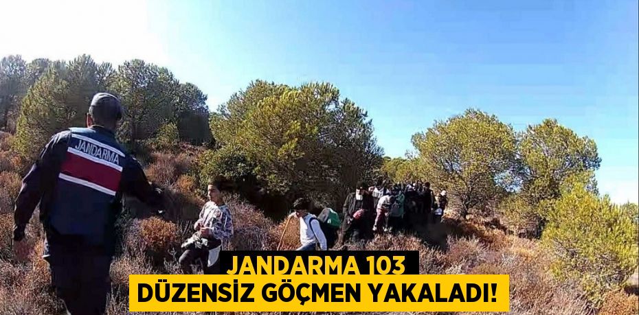 JANDARMA 103 DÜZENSİZ GÖÇMEN YAKALADI!