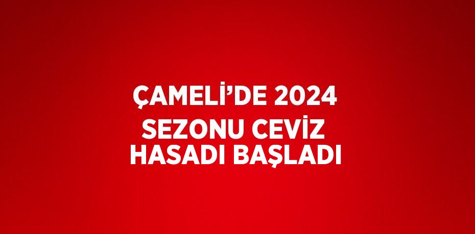 ÇAMELİ’DE 2024 SEZONU CEVİZ HASADI BAŞLADI