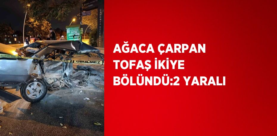 AĞACA ÇARPAN TOFAŞ İKİYE BÖLÜNDÜ:2 YARALI