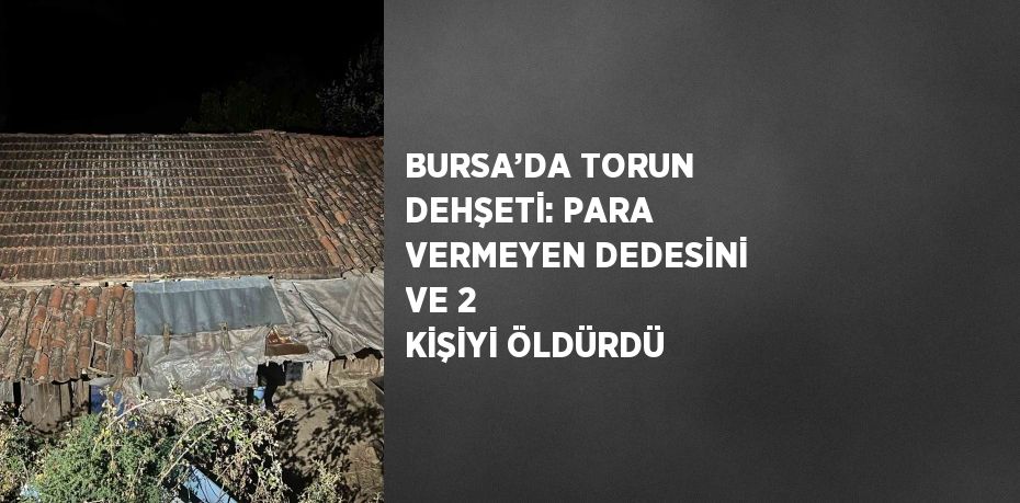 BURSA’DA TORUN DEHŞETİ: PARA VERMEYEN DEDESİNİ VE 2 KİŞİYİ ÖLDÜRDÜ